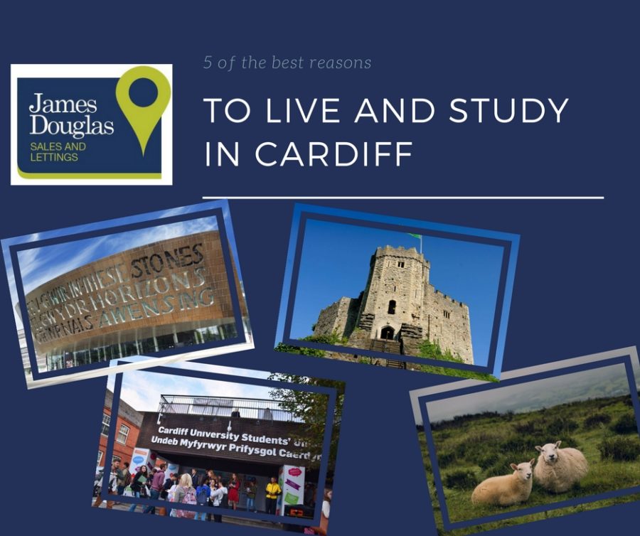 reasons why cardiff is the best city to study