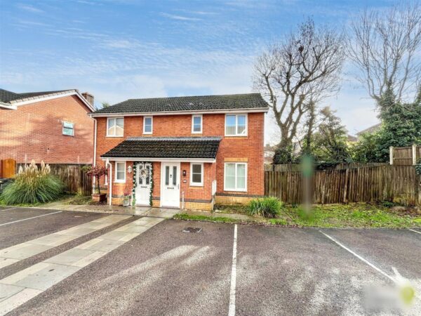 Bishpool View, Newport