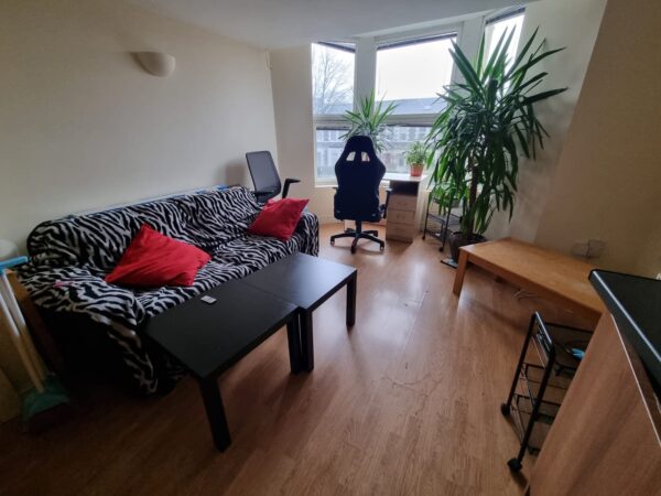 Richmond Rd, Roath, Cardiff